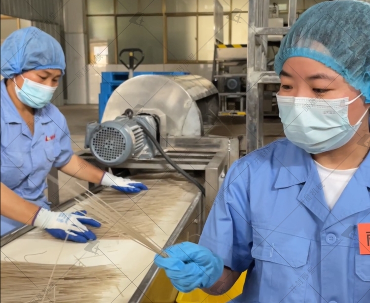自動化粉條生產線工藝亮點與特點你知道哪些？